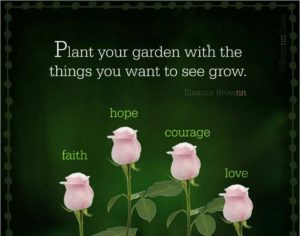 4 seeds to plant within you